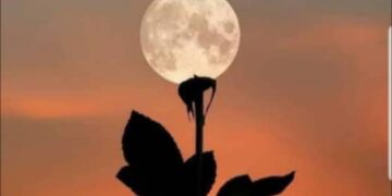 رفعوا راية الفقراء محاربة لراية رسول الله