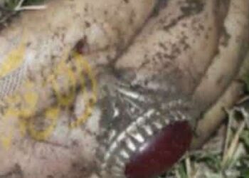 يد الشهيد سليماني هي العليا وشجاعة الشهيد المهندس هي الباقية