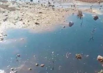 الفساد الإرهابي