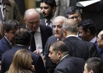 فلسطين توجه رسائل إلى مجلس الأمن والأمم المتحدة بشأن “العدوان الصهيوني على جنين”